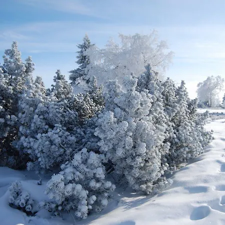 Otel Forsthaus Winterberg