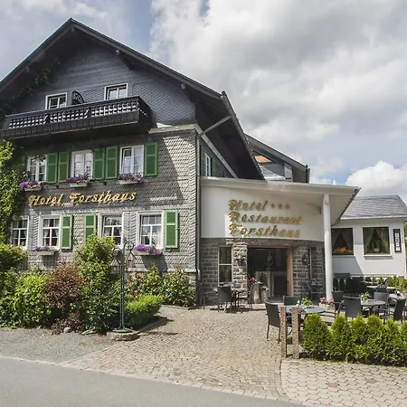 Отель Forsthaus 3*