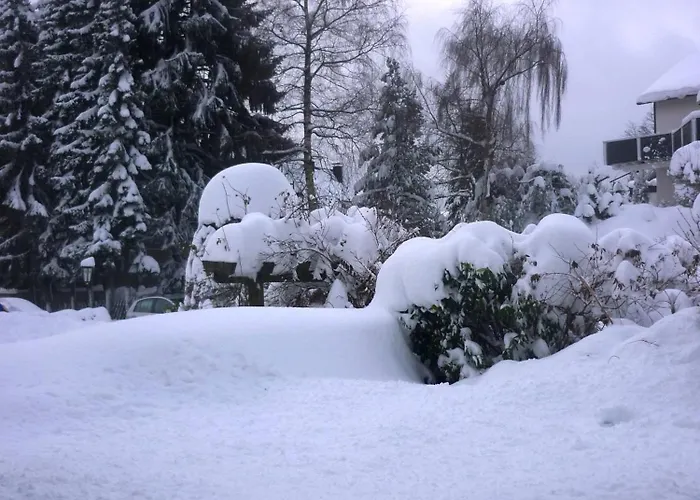 Hotel Forsthaus Winterberg
