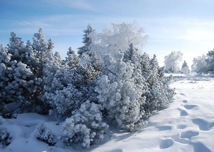 호텔 Forsthaus 빈터베르크