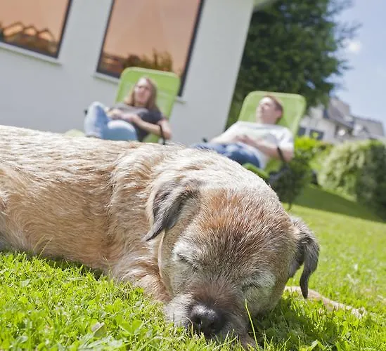 호텔 Forsthaus 빈터베르크